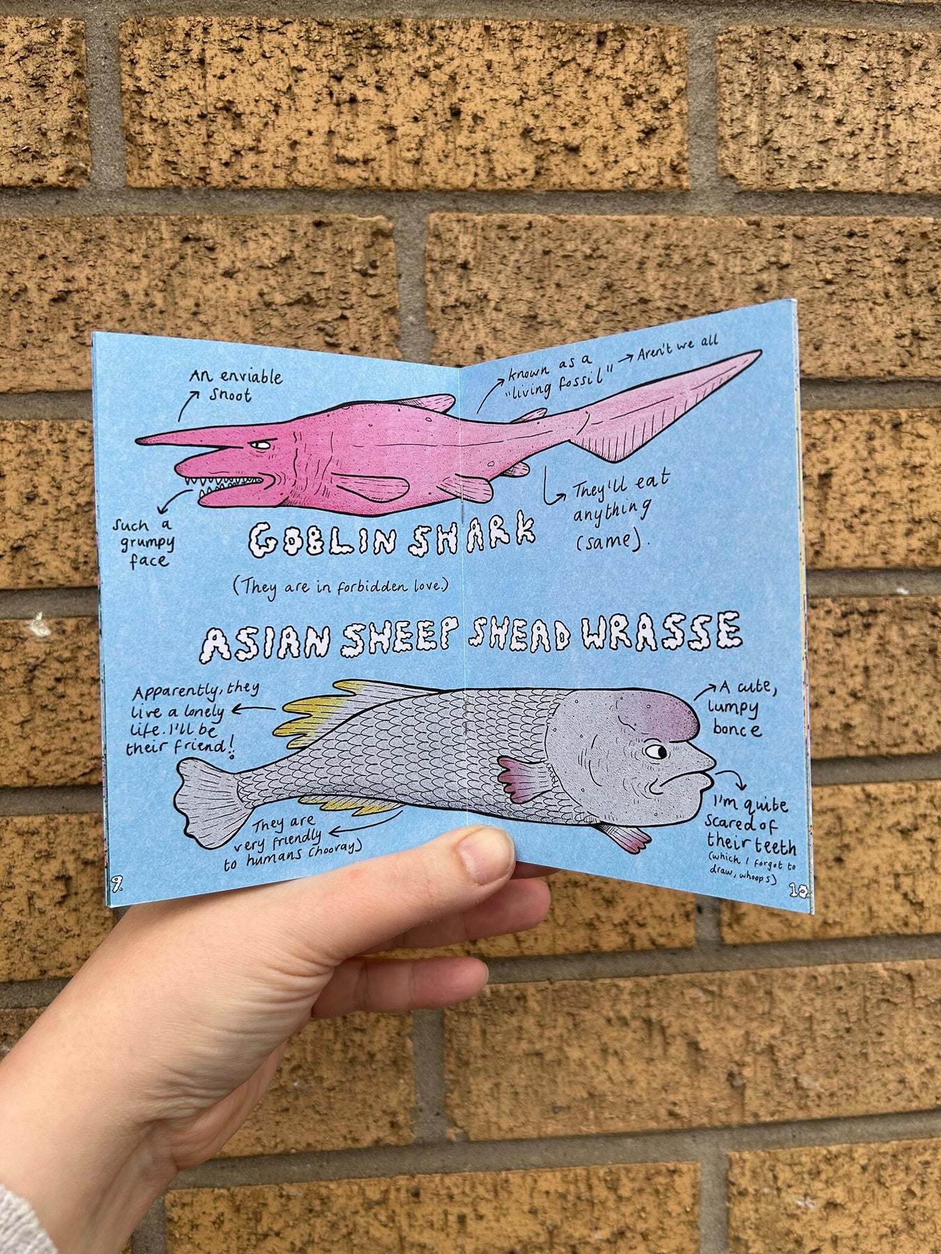 Suspicious Fish Zine – Handmade Nottingham