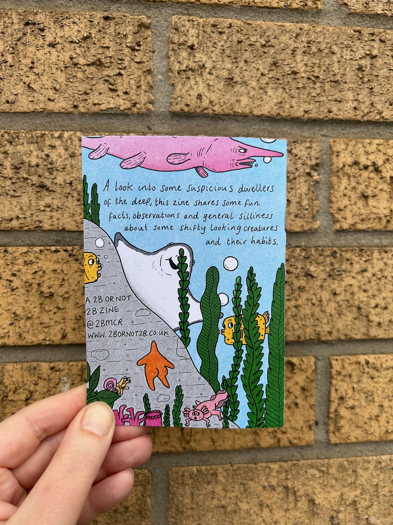 Suspicious Fish Zine – Handmade Nottingham